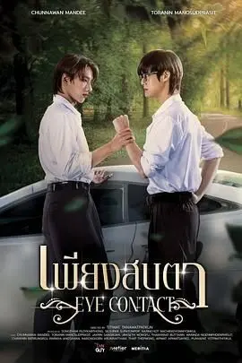 《一眼万年》：跨越时空的爱情与命运的深情碰撞