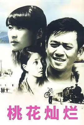 《桃花灿烂(2007)》：国产怀旧爱情片经典！看小镇青年如何追逐真爱与梦想
