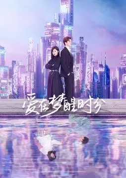 爱在梦醒时分 海报
